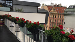 Beautiful 54m2 and 9m2 balcony studio near the Vienna State Opera (5min by walk) Vienna, Austria Opera and Balcony studio Entire rental unit vacation rental 19281672