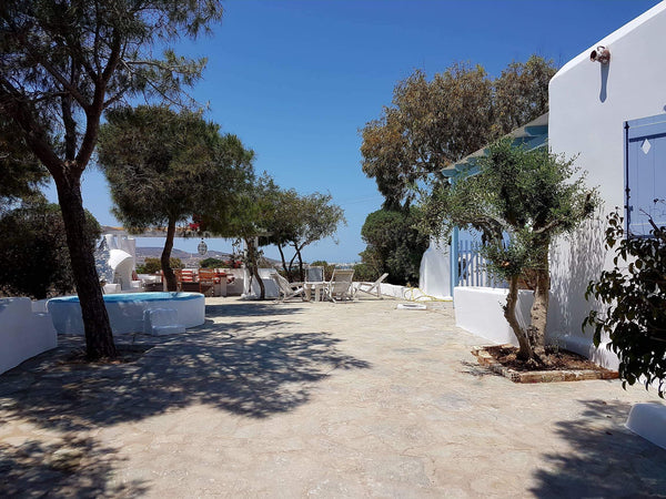 The house was build by an artist which gives it a unique character. Perfect for  Hallandale, FL Artist Hide Away Cycladic home vacation rental 4178737