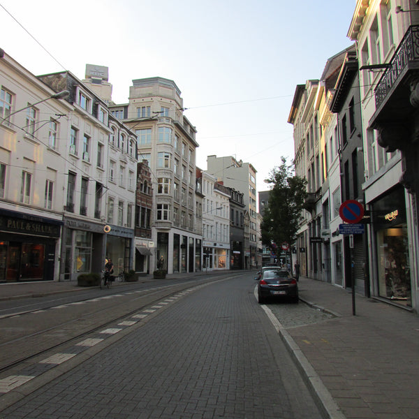 The flat is located in the very center of the city Antwerp. It is just around th Davos, Switzerland Magnificent Flat In The Heart Of Antwerp Entire rental unit vacation rental 19929145