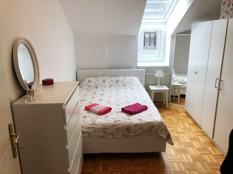 A nice quiet, bright room with double bed, wooden flor, high speed WIFI in a two Vienna, Austria A nice quiet room in the heart of vienna with cats Private room in rental unit vacation rental 38997172