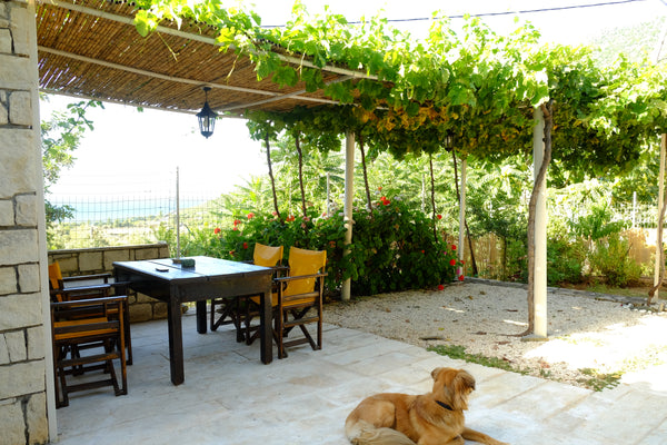 Fully renovated house, combining traditional and modern elements, close to the s Athens, Greece Eco-House 
