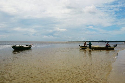 Full Day Sightseeing Tour of Lençóis Maranhenses National Park  Private Tours and Travel Guide America Fortaleza CITY Barreirinhas Destination Tour America Fortaleza CITY Barreirinhas