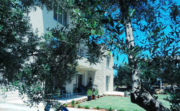 We have a building consisted by five separate and autonomous rooms. Each one wit Heraklion, Greece Magnificent suite with a loft, sea and garden view Entire rental unit vacation rental 32988040
