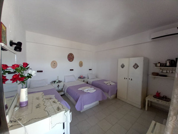 Comfortable and affordable holidays in at the seaside village of Kalamaki.<br />  Psiloritis - Triple room near the beach Private room in rental unit vacation rental 22159914