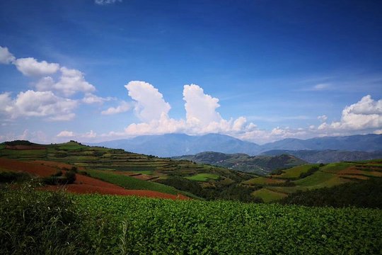 3 Days Dongchuan Red Land and Stone Forest Private Tour from Kunming  Private Tours and Travel Guide Asia Shanghai CITY Kunming Destination Tour