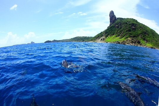 Boat trip in Fernando de Noronha  Private Tours and Travel Guide America Noronha CITY Fernando de Noronha Destination Tour