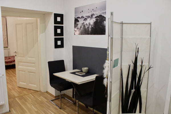This 40 sq. m.apartment is extremely quiet (one sound-proof wall), near Hauptbah Vienna, Austria Beautiful & quiet apartment near the main station Entire rental unit vacation rental 16137965