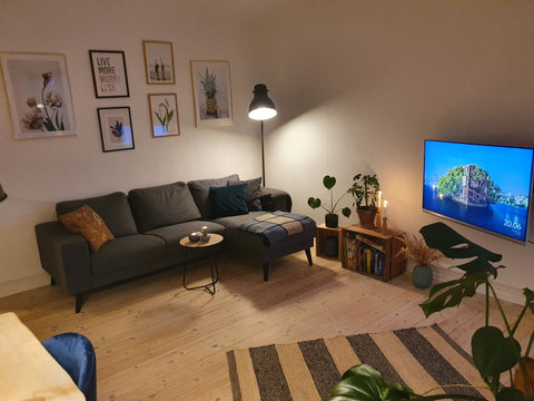 Plant heaven in urban Nørrebro.<br />My little home is placed right in the coole  Cosy green spot in Urban Nørrebro, Copenhagen Entire rental unit vacation rental 704312442295104159