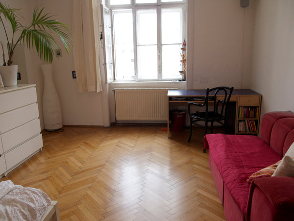 Vienna, Austria ★ Charming Heart of Vienna Entire rental unit vacation rental 2290076