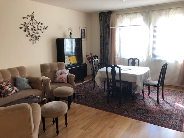 Ideal für Familien für den Städte-Trip nach Wien! Großzügige Wohnung in ruhiger,  Urban und ländlich in Wien! Entire rental unit vacation rental 41232357