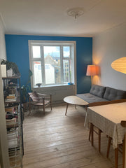 Cozy apartment with private and quiet balcony located very central in vibrant Nø Copenhagen, Denmark Cozy apartment with a balcony located in Nørrebro Entire condo vacation rental 663641658782530222