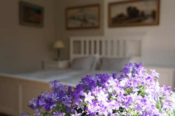 Sunny apartment in a favorite area in Prague - Letná with lots of trendy cafés,  Prague, Czechia Apartment near Prague Castle Entire rental unit vacation rental 12817196