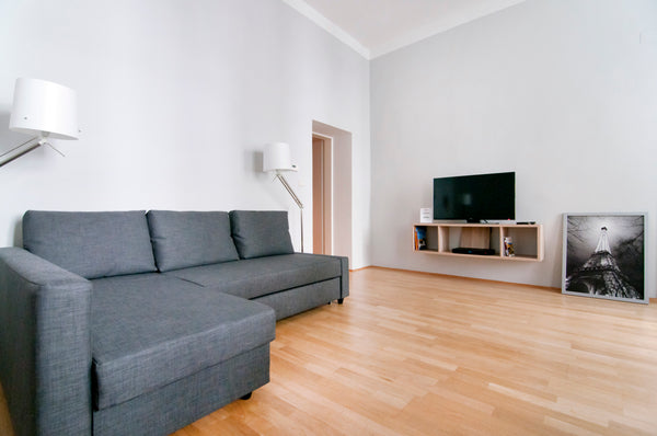Beautiful central area to stay in Vienna. An easy and very picturesque 15-minute Vienna, Austria Great City Prominade Entire rental unit vacation rental 5478007