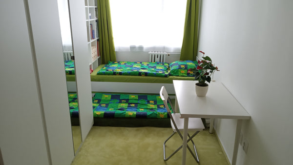 Our apartment has a private bedroom and bathroom and a shared kitchen with livin Prague, Czechia Private green room Private room in rental unit vacation rental 40021746