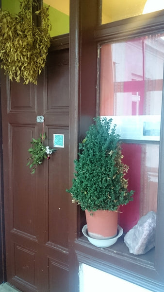 80m2 flat near the center <br />I life very simple and try to keep my ecological Vienna, Austria  Private room in rental unit vacation rental 10491736