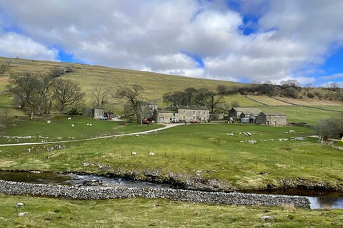 Private "All Creatures Great and Small" Yorkshire Dales Tour from Leeds  Private Tours and Travel Guide Europe London CITY Leeds Destination Tour Europe London CITY Leeds