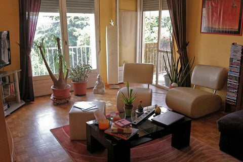 Je m'appelle Jérémy :)<br />J'ai 29 ans, je suis célibataire et j'habite à 10 mi Talence, France Bienvenue chez mon chat ^^' Private room in condo vacation rental 10799406