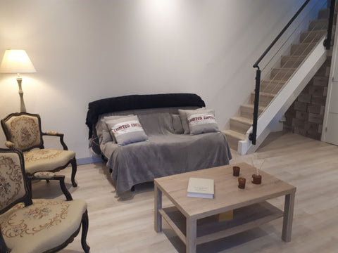 petite échoppe  parfaite pour les couples, les voyageurs en solo et les voyageur Bordeaux, France Studio maison calme à bordeaux Entire home vacation rental 17495689