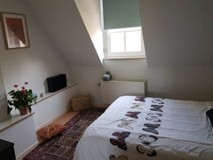 Dans une  belle maison de maître, chambre privée avec lit de deux personnes et s Schaerbeek, Belgium Cozy room in a green area/ European district Private room in rental unit vacation rental 43898077