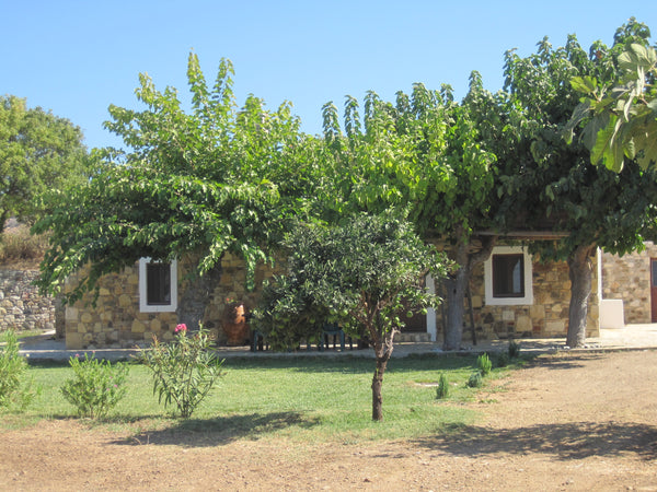 Stone Cottage is a traditional Greek cottage, set in quiet countryside overlooki  The Stone Cottage, peace and privacy Entire cottage vacation rental 17279984