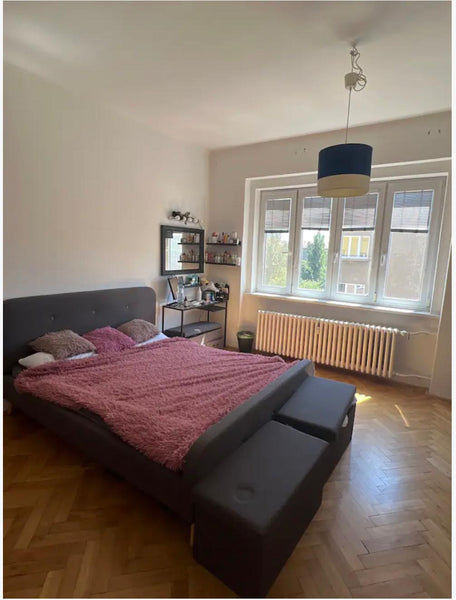 Our apartment has two separated sleeping rooms, one with a kitchen corner, hallw Prague, Czechia Lovely 2-bedroom apartment at the river Entire condo vacation rental 653429339448053882