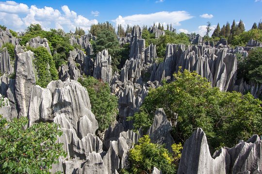 1 day Stone Forest & Guandu Ancient Town Tour  Private Tours and Travel Guide Asia Shanghai CITY Kunming Destination Tour