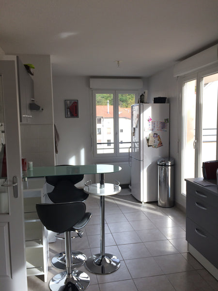 T3 neuf de 4 ans, une chambre disponible avec canapé lit, belle terrasse de 54m2 Lyon, France Chambre dans appartement avec canapé lit Private room in rental unit vacation rental 15640461