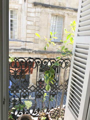 My apartement is in the Bordeaux historic center, called "The village of St Mich Bordeaux, France Flat with patio, historic center. Entire loft vacation rental 27188188