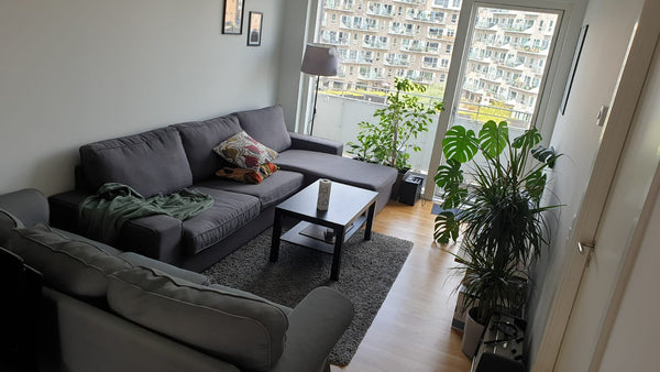 Charming room in nice, big and modern apartment. Privileged location in Copenhag  1 Bedroom in Copenhagen canals - for 1or2 persons. Private room in bed and breakfast vacation rental 683262779056522712