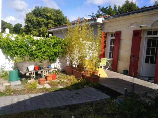 Echoppe rénovée comprenant cuisine toute équipée, salon avec canapé convertible, Bordeaux, France L'échoppe au fond du jardin à Talence Entire home vacation rental 35502491