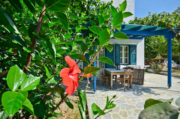 Ideal for nature lovers! Our countryside maisonette two bedroom villa with priva Naxos, Greece Countryside Villa with Swimming Pool and BBQ Entire villa vacation rental 5791823