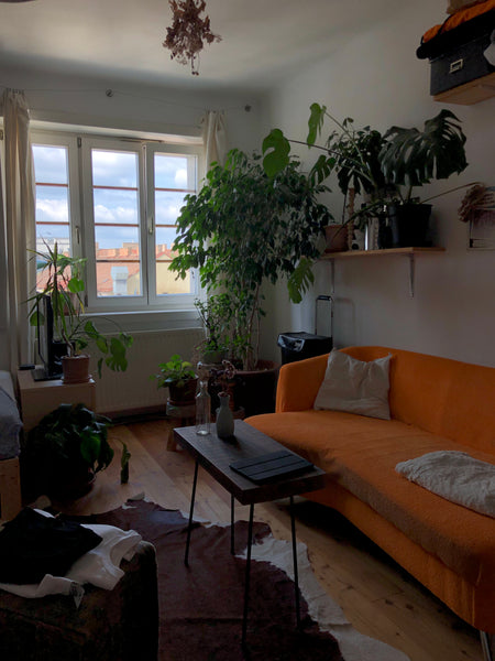 I’m a young interior architecture student from vienna who loves traveling and ar Vienna, Austria Lovely One Bedroom Apartment In Vienna 1040 Entire condo vacation rental 699198846741628331