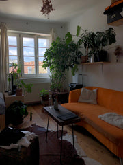 I’m a young interior architecture student from vienna who loves traveling and ar Vienna, Austria Lovely One Bedroom Apartment In Vienna 1040 Entire condo vacation rental 699198846741628331