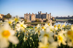 Leeds Castle and Canterbury Day Tour from Brighton  Private Tours and Travel Guide Europe London CITY Brighton Destination Tour Europe London CITY Brighton