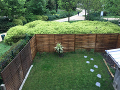 La chambre se trouve dans une petite maison de 71m2. Il y a trois chambres dont  Bordeaux, France 1. Maison au calme propre et proche centre-ville Private room in townhouse vacation rental 50630034