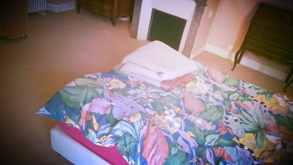 Belle maison est située au centre ville, près de tram B, bus 1, 11, 15, 5. Elle  Bordeaux, France Belle maison au centre ville Entire home vacation rental 10538865