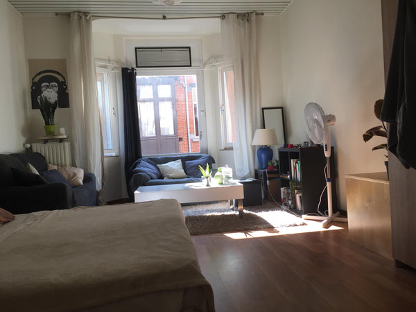 Peaceful room in the heart of Brussels, perfect balance between strategic locati Brussels, Belgium Spacious Quiet Room Private room in rental unit vacation rental 37506500