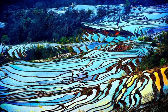 4 Days Yunnan Yuanyang Rice Terraces Photography Tour from Kunming  Private Tours and Travel Guide Asia Shanghai CITY Kunming Destination Tour