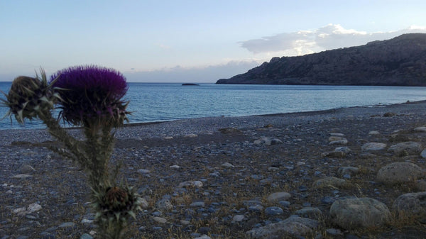 The studio (semi basement) is 45m and it  has a bedroom with two beds (one doubl Greece KRIOS MARE- STUDIO NEXT TO THE SEA - KRIOS BEACH Entire home vacation rental 11922091