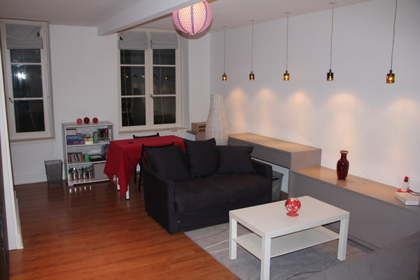 Nous louons notre appartement 2 pièces, au 1er étage, au calme sur cour et situé Lyon, France Deux pièces cosy à deux pas des quais - Lyon 6ème Entire rental unit vacation rental 16255145