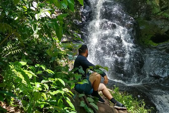 Relaxing Forest Bath Experience in Foz do Iguaçu  Private Tours and Travel Guide America Sao Paulo CITY Foz do Iguacu Destination Tour