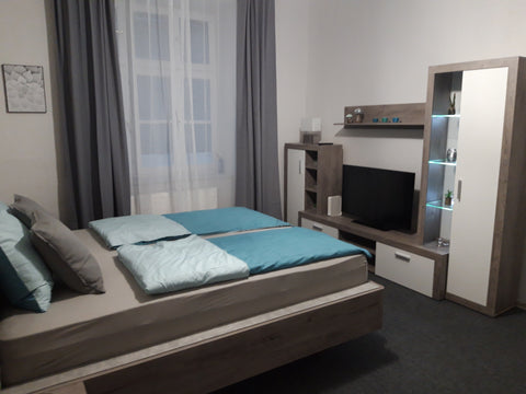 Apartamentul cu 1 camera ,este dotat cu baie, dus separat, dressing, mini bucata  Apartament, 250 m de Rathaus Wien Entire rental unit vacation rental 43831036