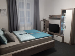 Apartamentul cu 1 camera ,este dotat cu baie, dus separat, dressing, mini bucata  Apartament, 250 m de Rathaus Wien Entire rental unit vacation rental 43831036