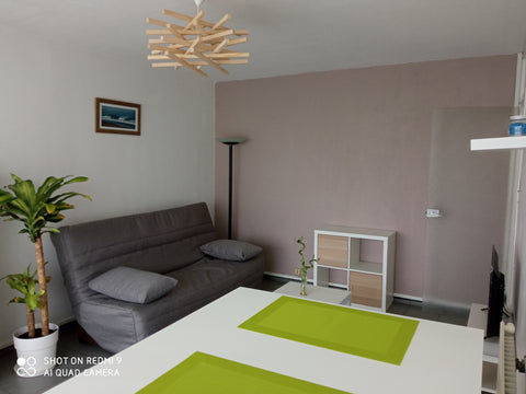 Studio cosy dans une résidence calme situé dans le centre de Talence. En seconde Bordeaux, France Appartement cosy avec parking sécurisé Entire condo vacation rental 47979696
