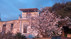 At the western end of Crete, in the semi-mountainous village of Kampos, the trad  "Stefanis" traditional house - Kampos Entire home vacation rental 566651532284002775