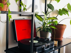 The apartment is in quite  place with with birds since the morning and a lot nic Prague, Czechia ❤️Sauna❤️Central ❤️ Cozy Apartment❤️Park❤️ Entire rental unit vacation rental 28305002