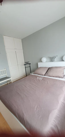 proche aéroport (10 mn) -   ligne tram A à 5 mn direct centre ville - centre com  Location avec petit déjeuner Private room in townhouse vacation rental 30369123