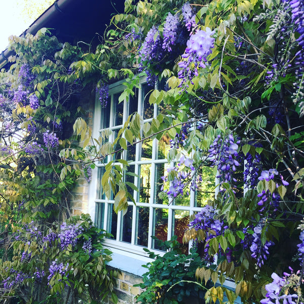 Family home located in a quiet area, 25 minutes from central Copenhagen. The hou Copenhagen, Denmark Bright and cosy family home with private garden. Entire home vacation rental 22364328