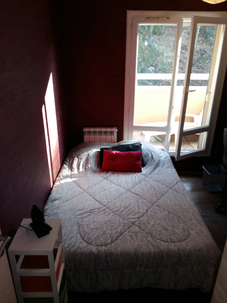 Nous proposons une chambre privée dans un appartement spacieux et chaleureux. No Lyon, France Chambre au calme dans Lyon 4 Private room in rental unit vacation rental 16249800