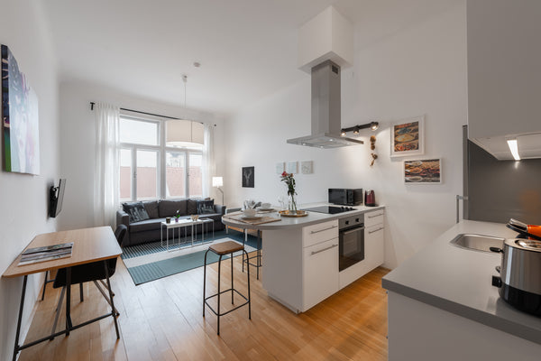 This beautiful, NEW renovated, and completely furnished apartment of about 56 sq Vienna, Austria SLI #8 Apartment - new and top located Entire rental unit vacation rental 31016305